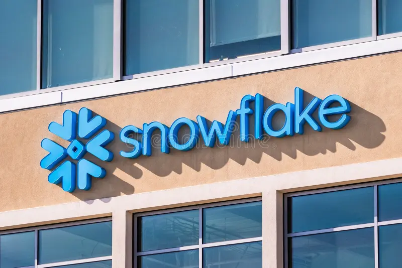 SNOWFLAKE COMPANY BOARD