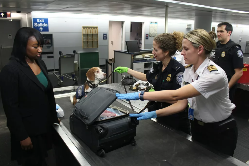 Customs Agents at port