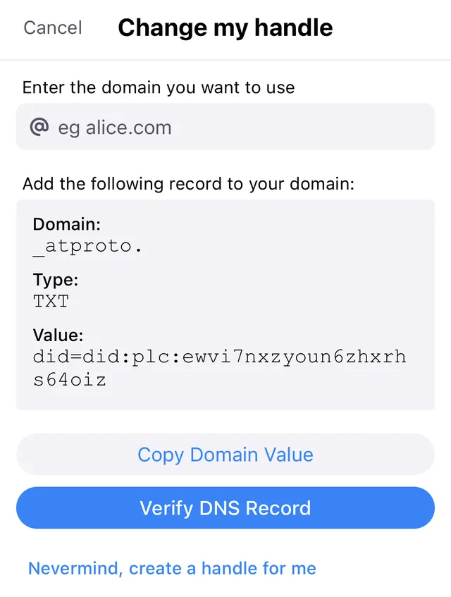 Change my handle box showing all the various domain data.